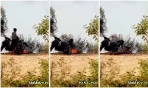 အဆောင်သူလေးကို မုန့်ဝယ်ကျွေးမယ်ဆိုပြီး ဖင်လိုးတဲ့ကောင်